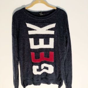 Blue Sweater with Motif